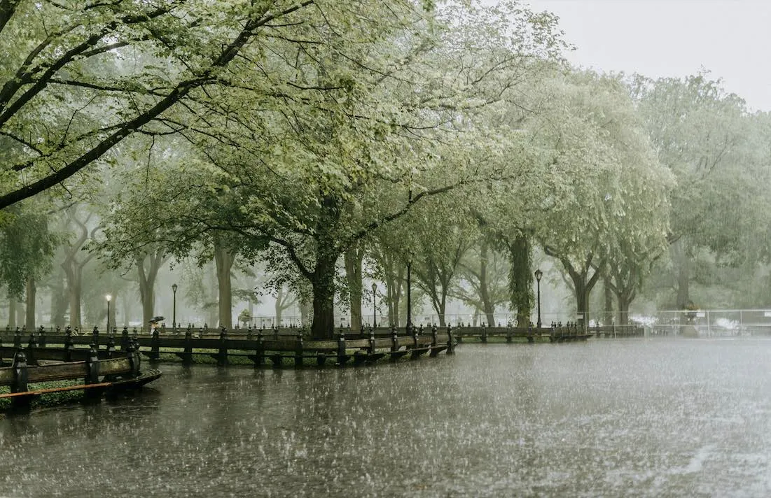 Weekly Horoscope: March 25–31, 2024